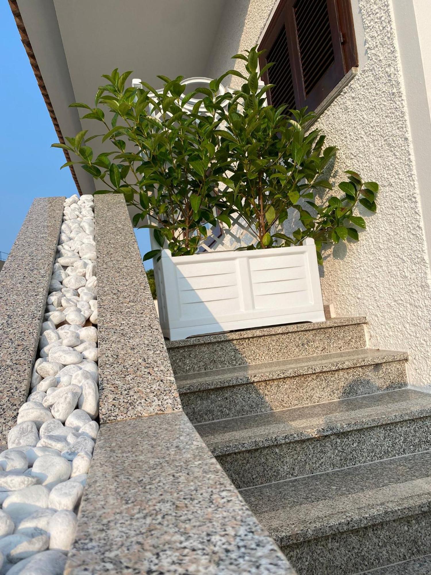 Villa Da Rosa Olbia Eksteriør billede