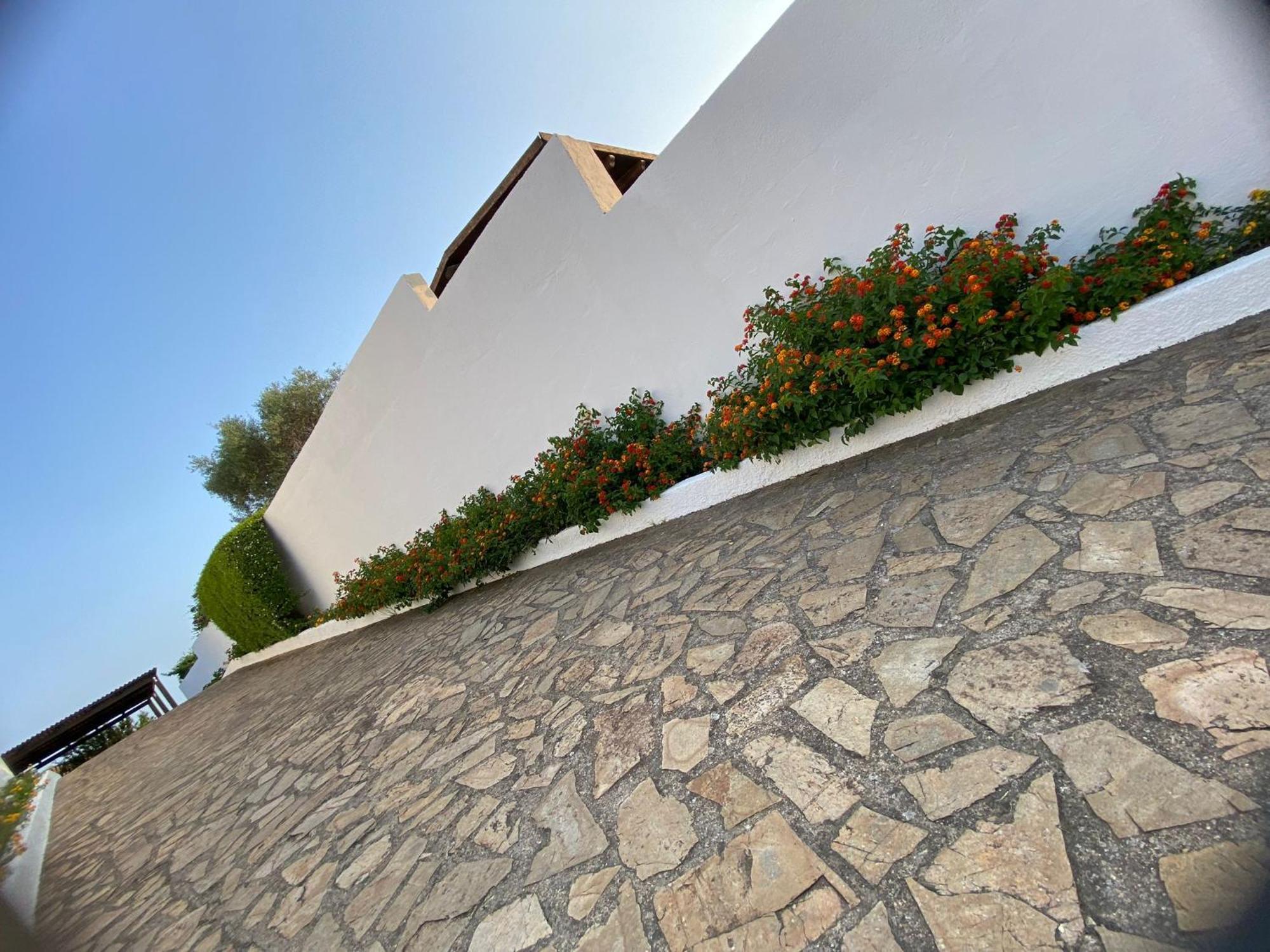 Villa Da Rosa Olbia Eksteriør billede